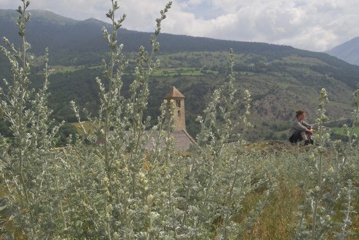 Tartscher Bühl im Vinschgau