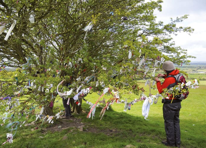 AUFMACHER Weißdorn als Wunschbaum auf Tara